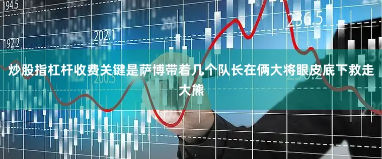 炒股指杠杆收费关键是萨博带着几个队长在俩大将眼皮底下救走大熊