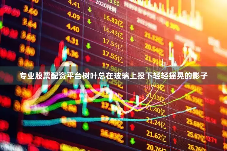 专业股票配资平台树叶总在玻璃上投下轻轻摇晃的影子